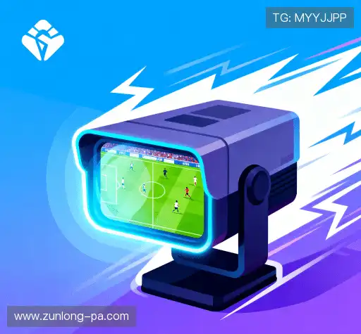 我们卓越的品质